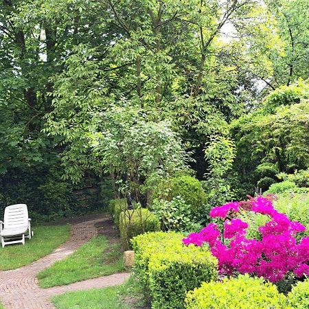 Guesthouse Vakantiehuis In Een Mooie Tuin In Het Centrum Van Zuidlaren! Zewnętrze zdjęcie