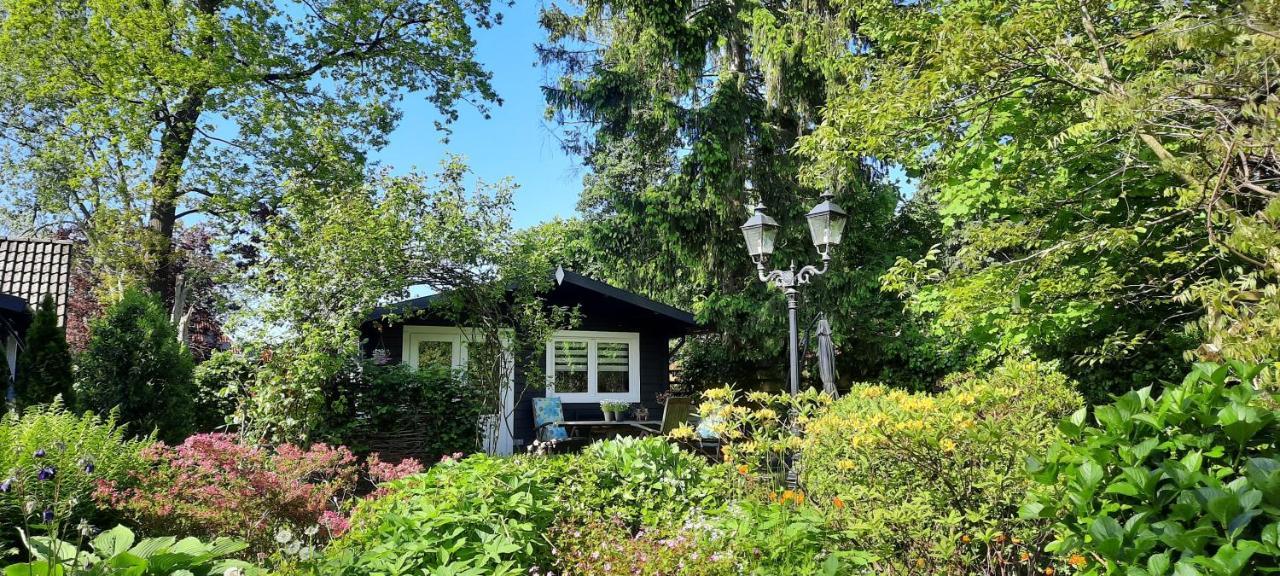 Guesthouse Vakantiehuis In Een Mooie Tuin In Het Centrum Van Zuidlaren! Zewnętrze zdjęcie