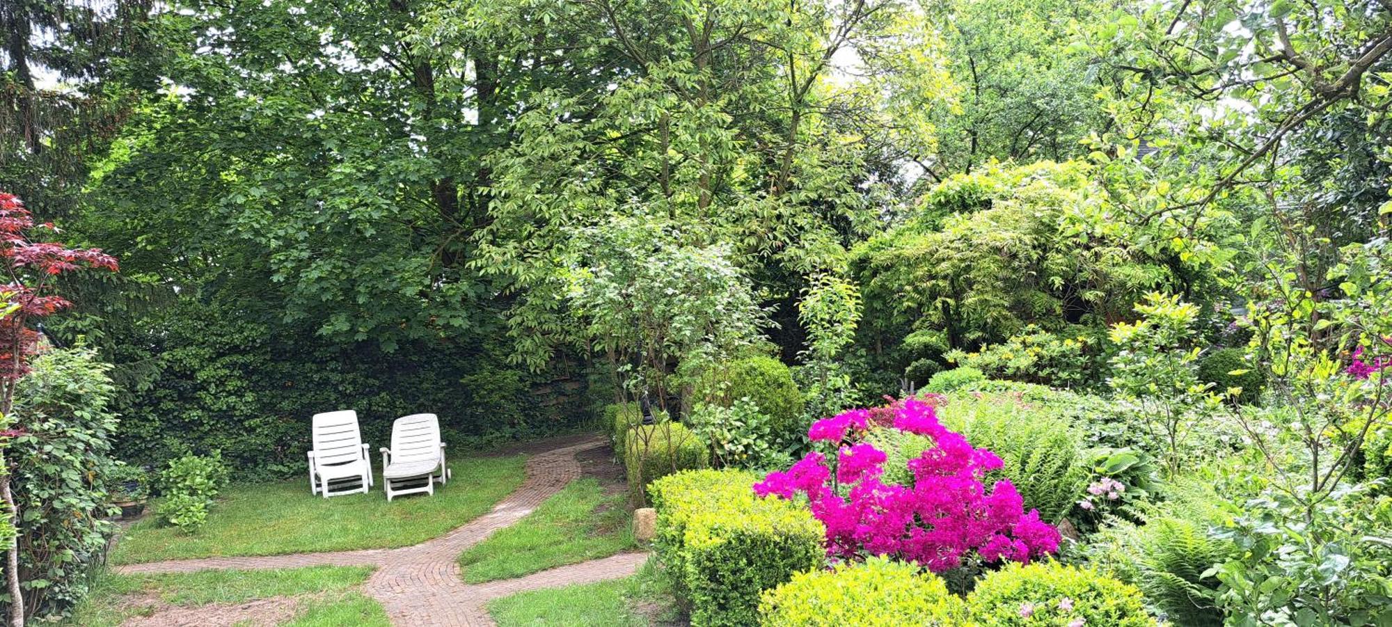 Guesthouse Vakantiehuis In Een Mooie Tuin In Het Centrum Van Zuidlaren! Zewnętrze zdjęcie