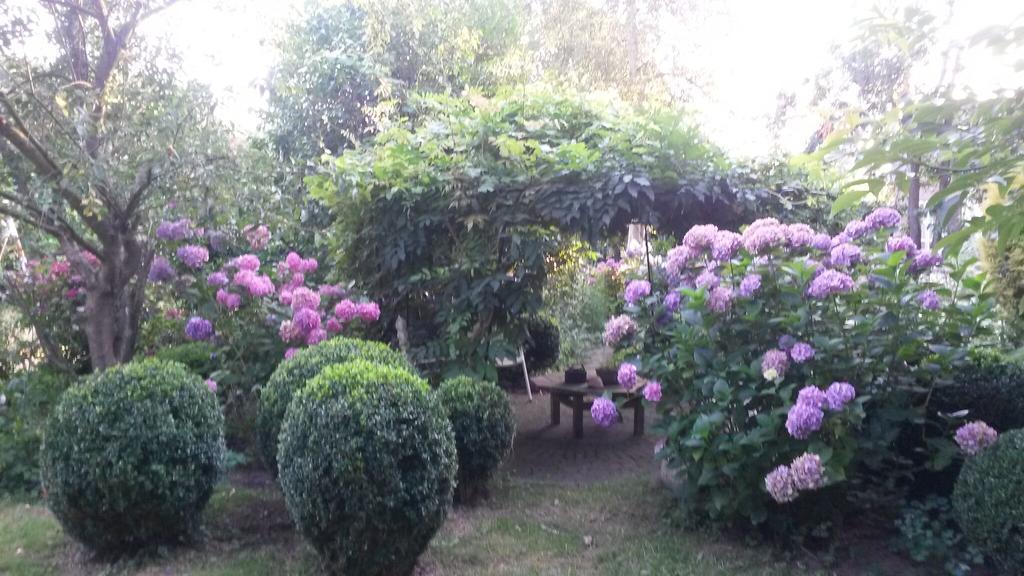 Guesthouse Vakantiehuis In Een Mooie Tuin In Het Centrum Van Zuidlaren! Zewnętrze zdjęcie